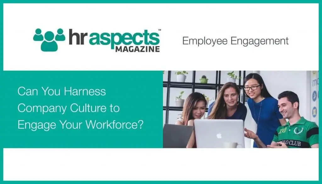 All Points North Harness Company Culture