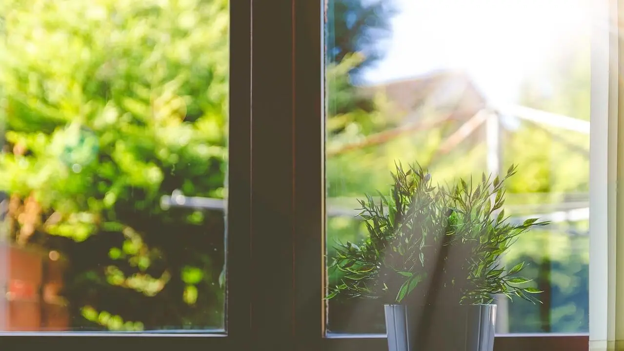 Could the Sun Impact Productivity When You Are Working From Home?