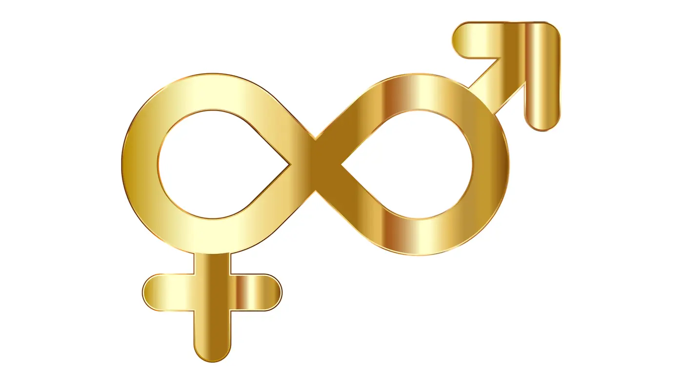 Are Your Business Systems Truly Gender Friendly?
