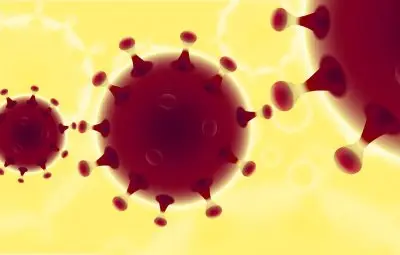 coronavirus Magnum Opus Repairs